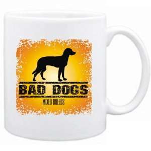  New  Bad Dogs Mixed Breeds  Mug Dog