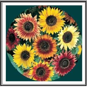   100+ Organic Autumn Beauty Sunflower Seed Rainbow Mix Patio, Lawn