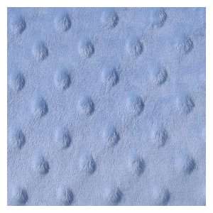  Minky Dot Fabric   Blue Arts, Crafts & Sewing