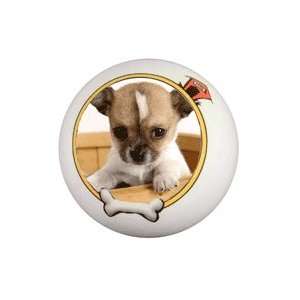  Photo Dog Ball  Create a Ball for Your Dog Using Your 