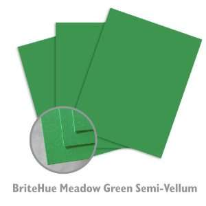  BriteHue Meadow Green Paper   1500/Carton