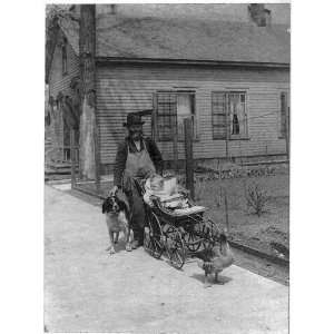   Gardners Pets,Man,child in baby carriage,dog,goose
