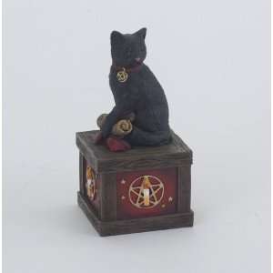  Magical Cat Wishing Box