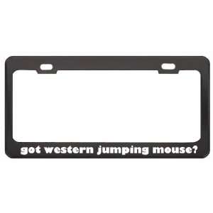 Got Western Jumping Mouse? Animals Pets Black Metal License Plate 