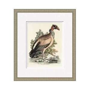  King Of The Vultures Framed Giclee Print