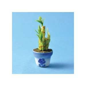  Miniature Lucky Bamboo Plant sold at Miniatures Toys 