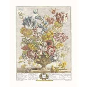    Robert Furber   Twelve Months of Flowers 1730/April