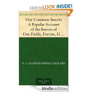 Our Common Insects A Popular Account of the Insects of Our Fields 