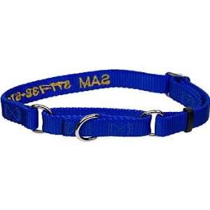   Pet No Slip Personalized Dog Collar in Blue, 5/8 Width