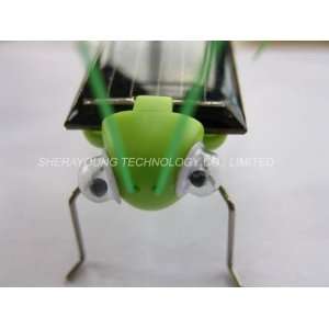    solar grasshopper bug insects eco friendly toys Toys & Games