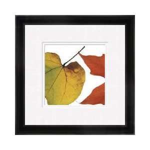  Inflorescent Leaves I Framed Giclee Print