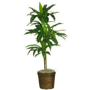 Nearly Natural 48 inch Dracaena w/Basket Silk Plant (Real Touch 