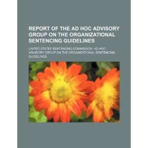  Report of the Ad Hoc Advisory Group on the Organizational 