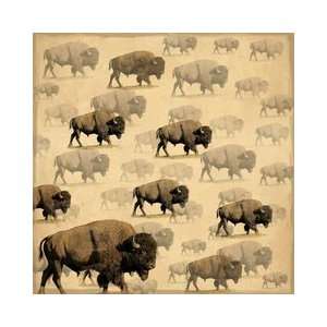    SugarTree   12 x 12 Paper   Wild Buffalo Arts, Crafts & Sewing