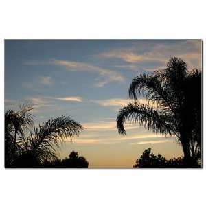  Summer Sky Close Up California Mini Poster Print by 