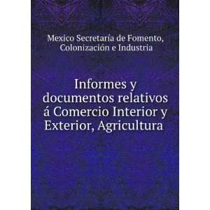   ColonizaciÃ³n e Industria Mexico SecretarÃ­a de Fomento Books