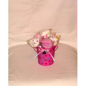   Lollypop Washcloth Bucket Perfectly Adorable for Any Baby Shower