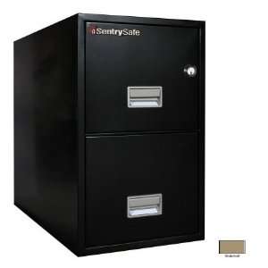   2T3130 S 31 in. 2 Drawer Insulated Vertical File  Sand