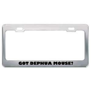 Got Dephua Mouse? Animals Pets Metal License Plate Frame Holder Border 