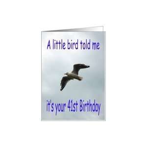  Happy 41st Birthday Flying Seagull bird Card Toys & Games