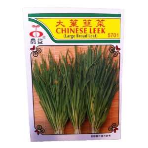  Chinese Leek (Large Broad Leaf) 5701 Patio, Lawn & Garden