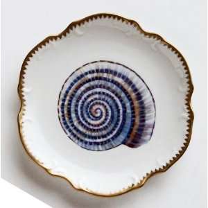  Anna Weatherley Seascape Shells #4 Bread & Butter Plate 6 