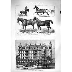   1880 BUILDINGS TEMPLE GARDENS HORSE SHOW JARGE PHARAOH