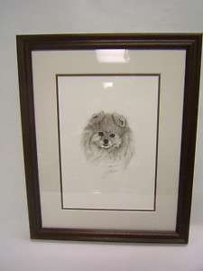 Pomeranian Dog pencil sketch artwork framed signed  
