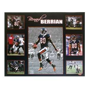  Bernard Berrian Chicago Bears 16x20 Collage Sports 