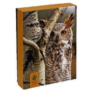  Pomegranate Sierra Club Owls Standard Boxed Note Card Set 