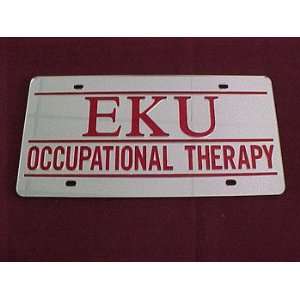   Eastern Kentucky Colonels Lp Occup Therapy Silver