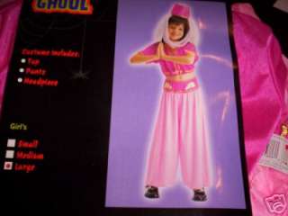 Genie Harem Pink Costume Dress up NWT 10 12  