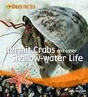 live hermit crab  