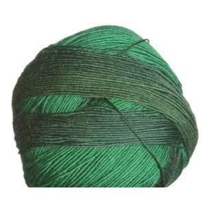  Schoppel Wolle Yarn   Zauberball Yarn   1966 Grashalm 