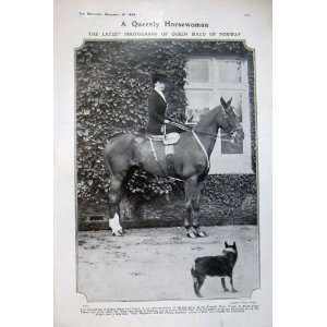    1908 Queen Maud Norway Buckingham Palace Horse Dog