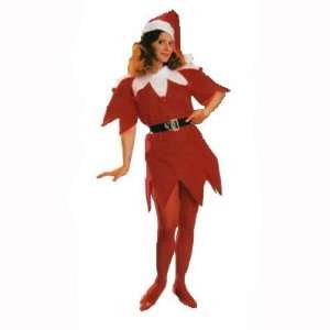  Miss Santa Tunic Standard Costume