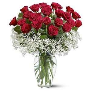 Two Dozen Deluxe Red Roses  Grocery & Gourmet Food
