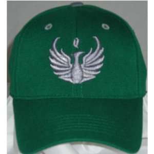  Wisconsin Green Bay Phoenix NCAA Adult Wool 1 Fit Hat 