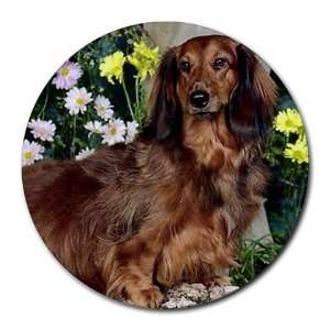  Long haired dachsund Round Mousepad Mouse Pad Great Gift 