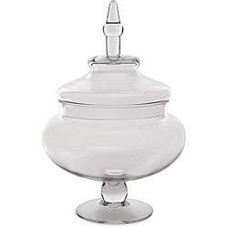 Glass Wide Lidded Apothecary Jar  