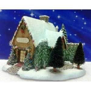   *St. Nicholas Christmas Shop* Lighted Village Piece 