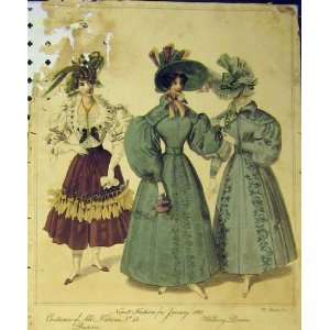  1830 Womens Fashion Costumes Walking Dresses Colour