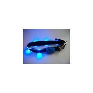  Double Light Up Flashing dog collar (Cool Blue 