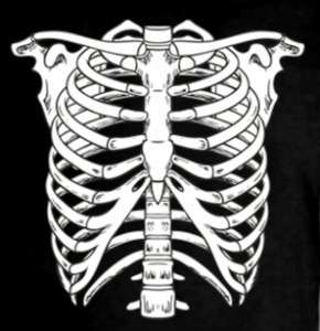 Skeleton Bones Skull Scary Chest Body Cool Tee T Shirt  