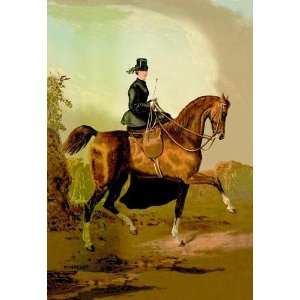  Exclusive By Buyenlarge A Ladies Horse 20x30 poster