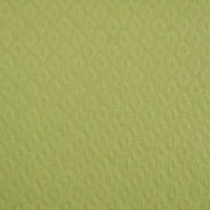  3465 Ester in Lime by Pindler Fabric