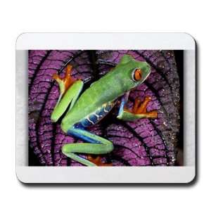   (Mouse Pad) Red Eyed Tree Frog on Purple Leaf 