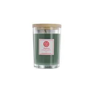  Scented Candle Soy Holiday Candle 7 Oz Tumbler By 
