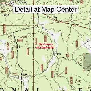  USGS Topographic Quadrangle Map   Big Canyon, Oregon 