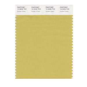  PANTONE SMART 15 0636X Color Swatch Card, Golden Green 